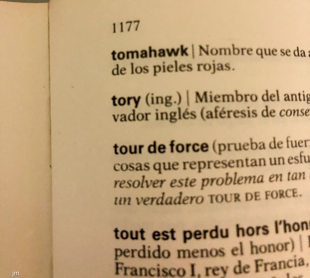 Dizionario Generale Illustrato VOX