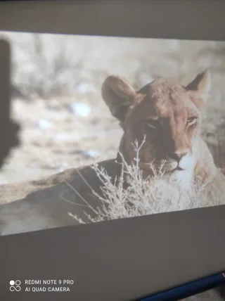 Proyector LED Smart TV Blanco