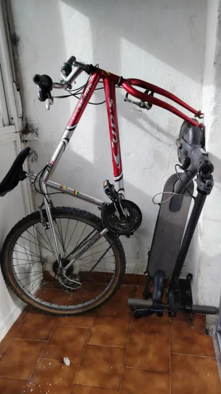 Bicicleta y patinete