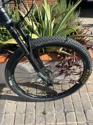 Orbea Alma M50 T-S