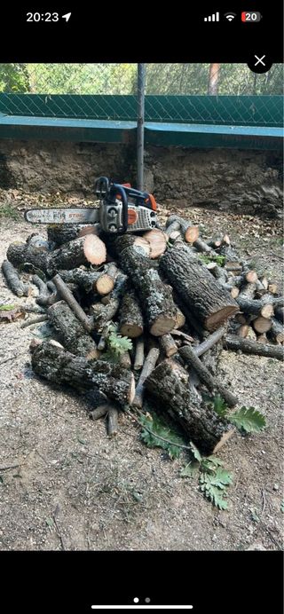 tala de arboles y poda