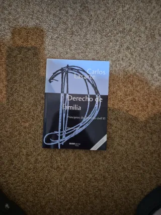 Principios de Derecho civil. Tomo VI (Spanish E...