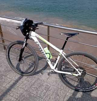 Bicicleta Cannondale F29 29 pulgadas