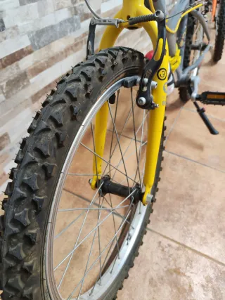 Bicicleta infantil 20 pulgadas