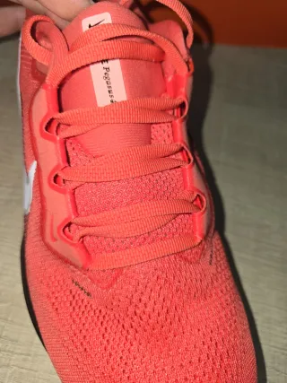 Zapatillas Nike Pegasus unisexTalla 40