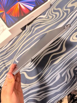 iPad Pro 12.9 3ª Gen 256GB Wi-Fi + 4G