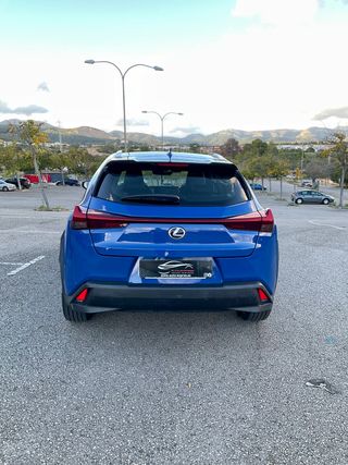 Lexus UX 2.0 250h Business