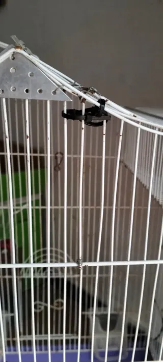 Jaula grande para pájaros