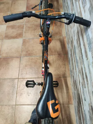 Bicicleta Infantil 20 Pulgadas