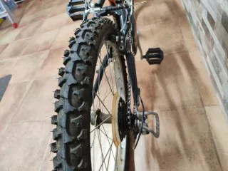 Bicicleta Infantil 20 Pulgadas