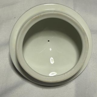 Tetera de porcelana con flores azules