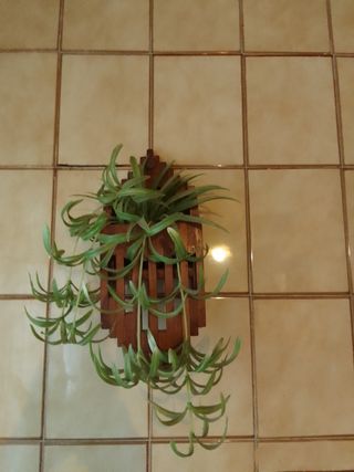 Porta plantas de madera