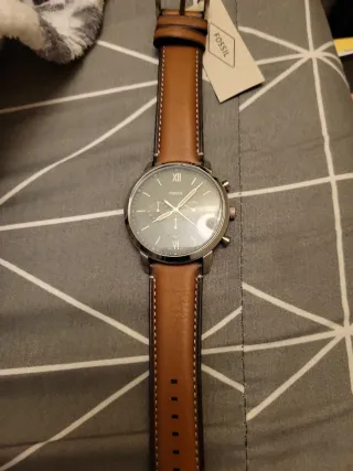 Reloj Fossil FS5963 Marrón y Verde