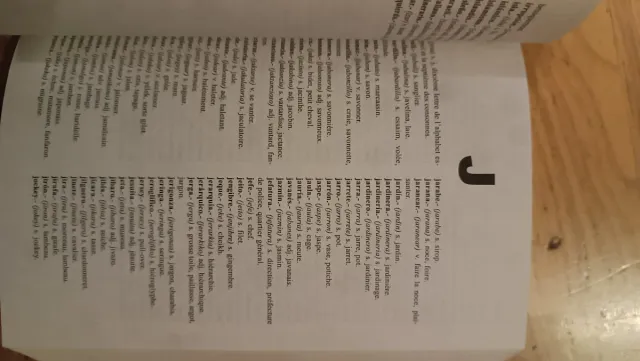 Diccionario Español-Francés y Francés-Español (...