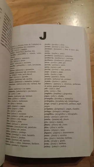 Diccionario Español-Francés y Francés-Español (...