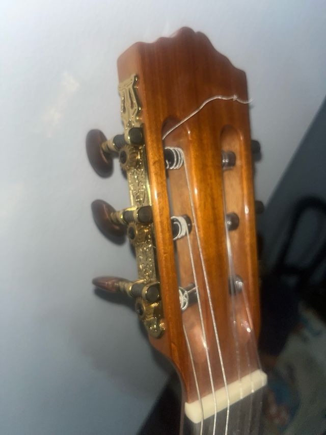 Guitarra Española Clásica