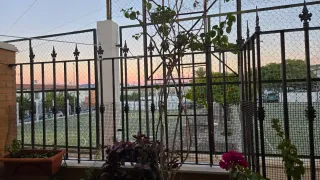 Reja de exterior y se REGALA LA PUERTA