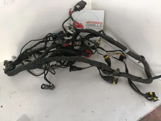Impianto Elettrico MV Agusta Brutale 920/1090