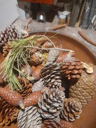 Decorazioni natalizie pigne