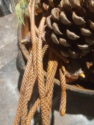 Decorazioni natalizie pigne