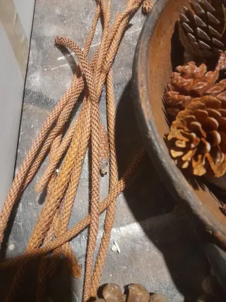 Decorazioni natalizie pigne