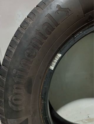 neumáticos 195/65 15