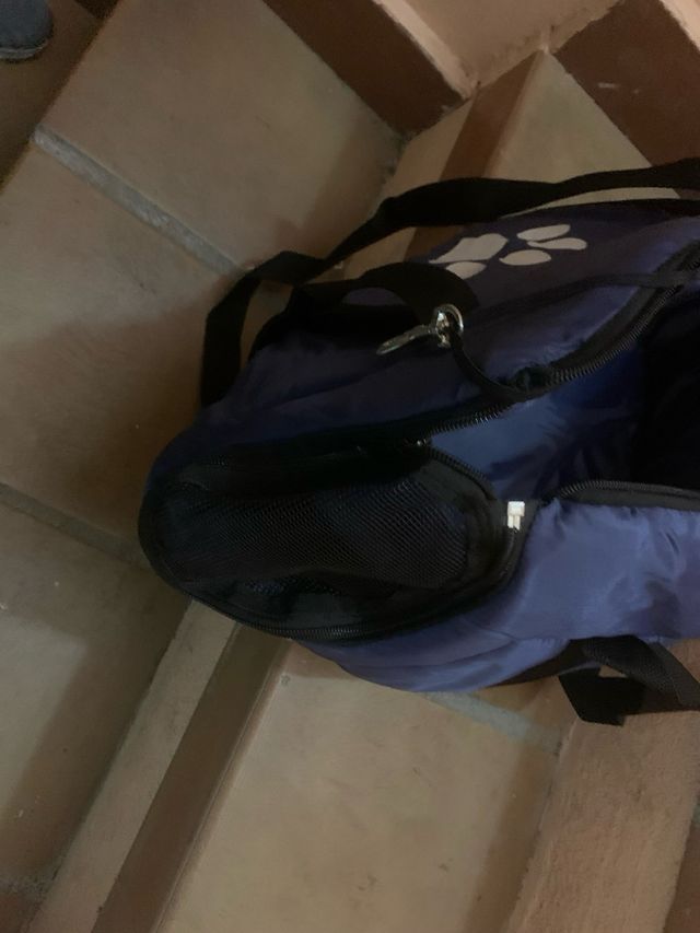 Transportín bolsa para mascotas azul