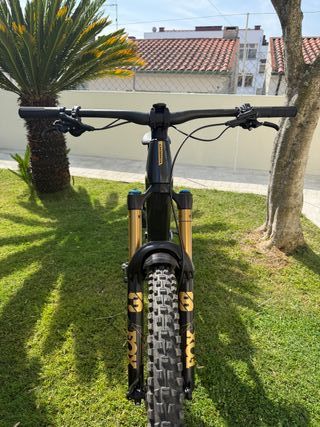 Bicicleta Orbea Wild 2024