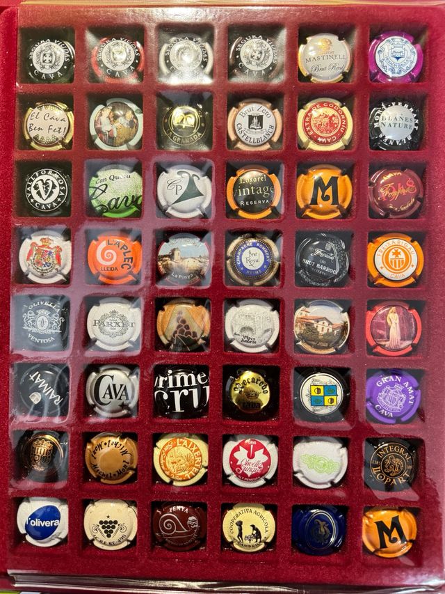 Colección Chapas Cava