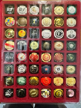 Colección Chapas Cava