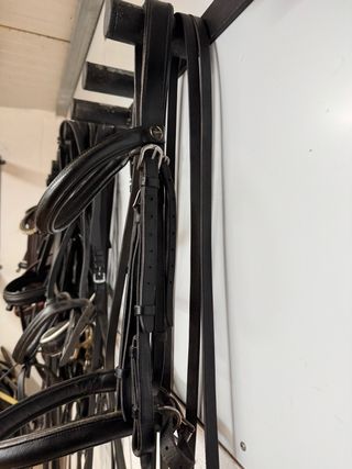 Cabezada Daslö bocado con riendas