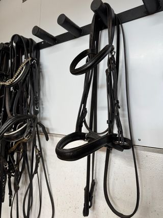 Cabezada Daslö bocado con riendas