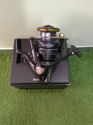 Mulinello Shimano Sustain FJ C3000 HG