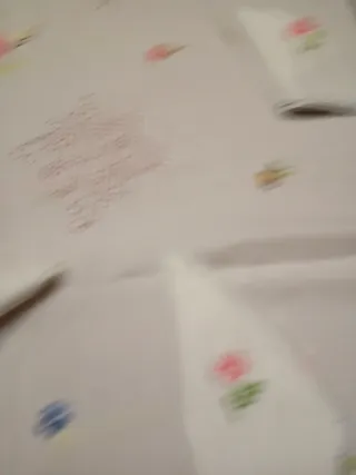 Mantelería bordada a mano con 10 servilletas