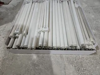 Lote tubos fluorescentes 18W/865 Philips