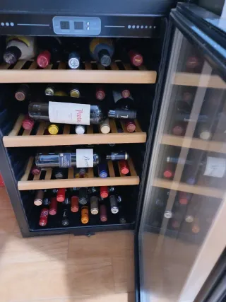 Vinoteca refrigerada