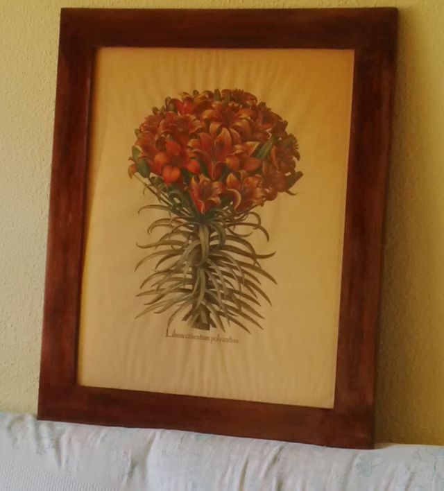 Quadro botanico LILIUM Arancione 75x60