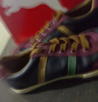 Zapatillas Casuales Azul y Morado