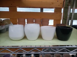 Mini Vaso Ceramica Piante Grasse