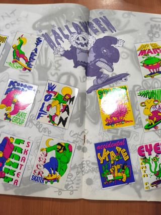 Álbum Cromos Skate Board 1980's Completo