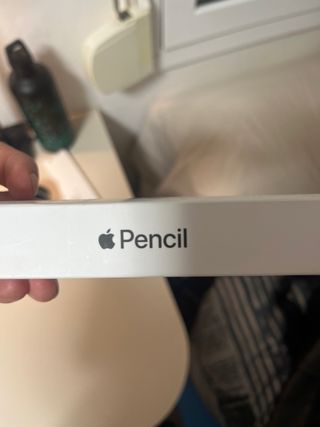 Apple Pencil 1ª Gen
