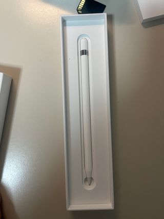 Apple Pencil 1ª Gen