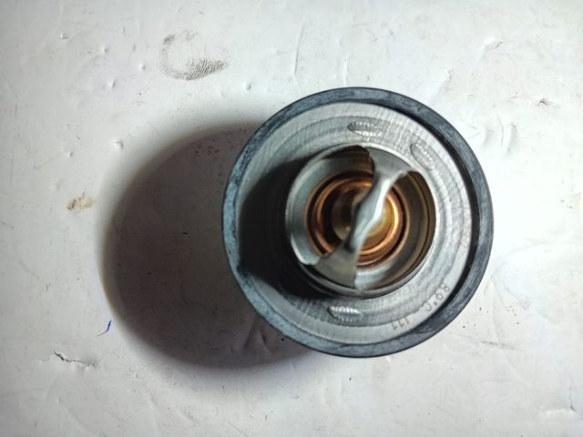 Termostato Peugeot o Citroen Motor 1.9 D