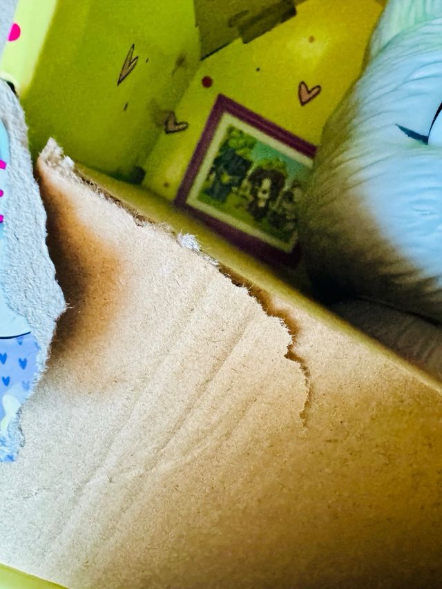 NUEVO! Pamper Petz Gatito huella mágica nuevo