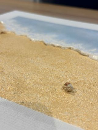 Cuadro mar relieve arena y ola