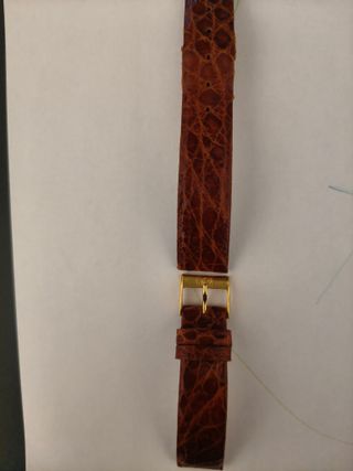 Reloj Festina Cuarzo Dorado Correa Marrón