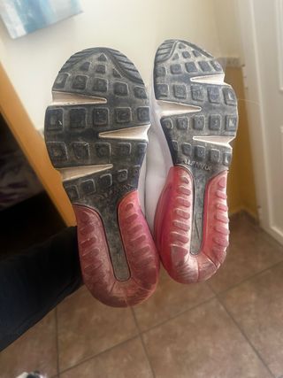 Deportivas Nike Air Max 2090 Mujer