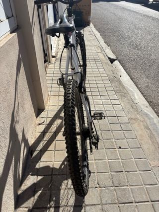 Bicicleta montaña/ciudad Fire Bird Track Shimano