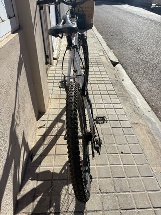 Bicicleta montaña/ciudad Fire Bird Track Shimano