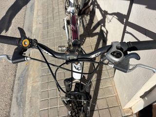 Bicicleta montaña/ciudad Fire Bird Track Shimano